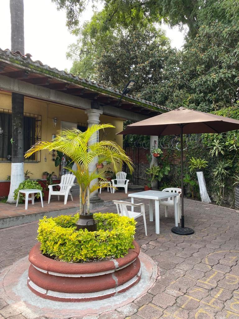 Quinta Angeles Apartment Cuernavaca Bagian luar foto
